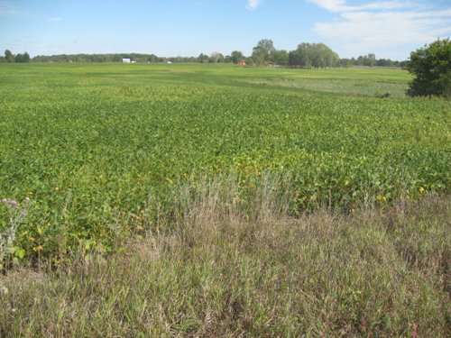 Property photo 51 - 110+/- Acres offered in 4 Tillable Tracts